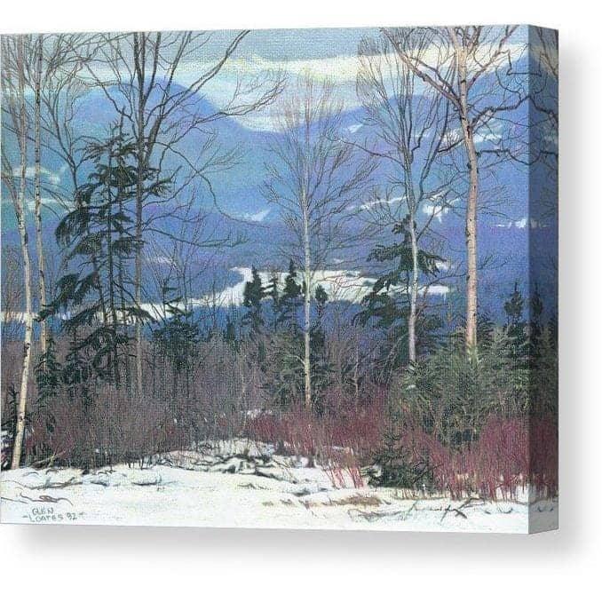 Saddleback by Glen Loates, gallery canvas: snowy fields and blue hills seen through bare winter trees