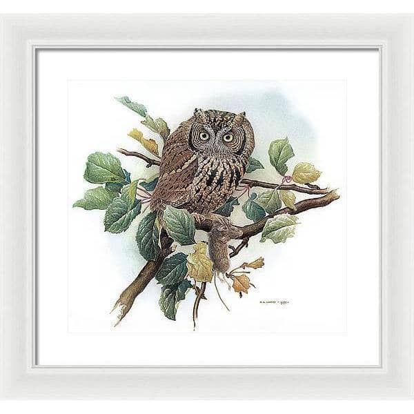 Screech Owl with Field Mouse - Framed Print | Artwork by Glen Loates