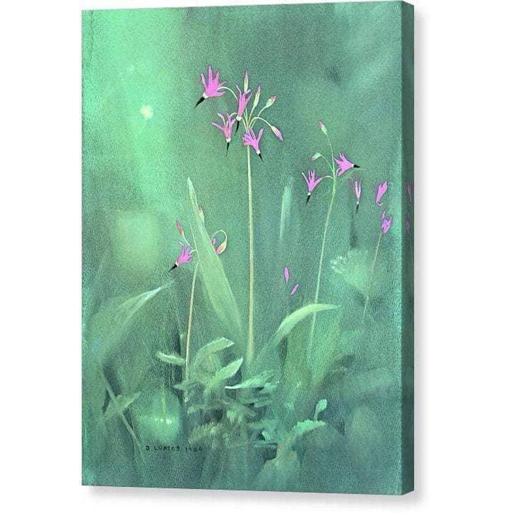 Shooting Stars - Canvas Print | Artwork by Glen Loates