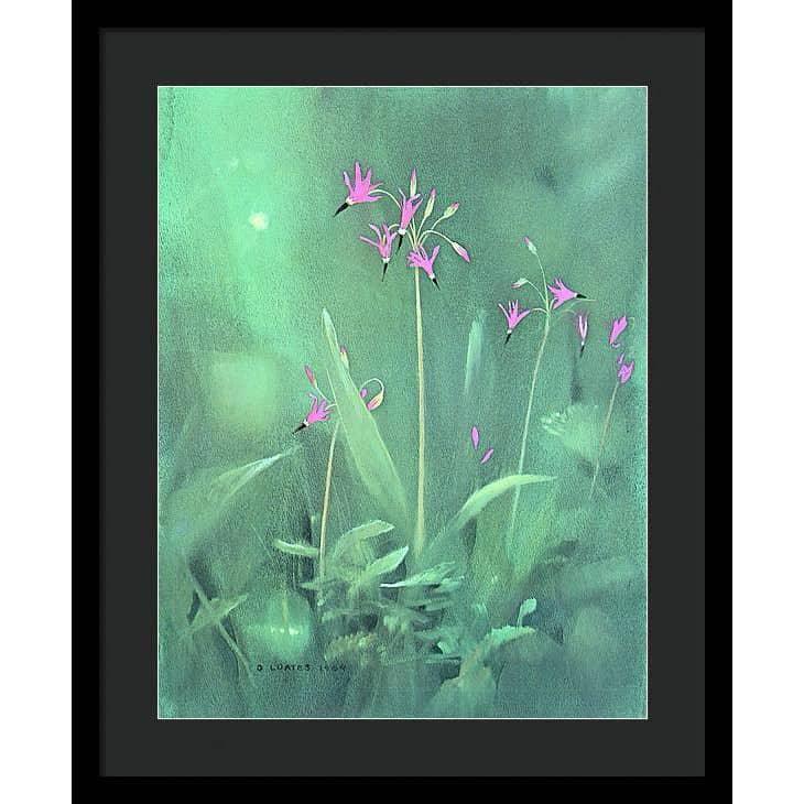 Shooting Stars - Framed Print | Artwork by Glen Loates