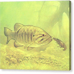 Gallery Canvas