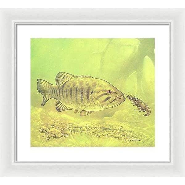 Small Mouth Bass Pursuing Crayfish - Framed Print | Artwork by Glen Loates
