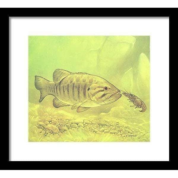 Small Mouth Bass Pursuing Crayfish - Framed Print | Artwork by Glen Loates