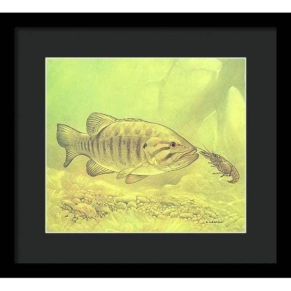 Small Mouth Bass Pursuing Crayfish - Framed Print | Artwork by Glen Loates