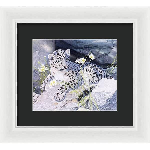 Snow Leopard Cub - Framed Print | Artwork by Glen Loates