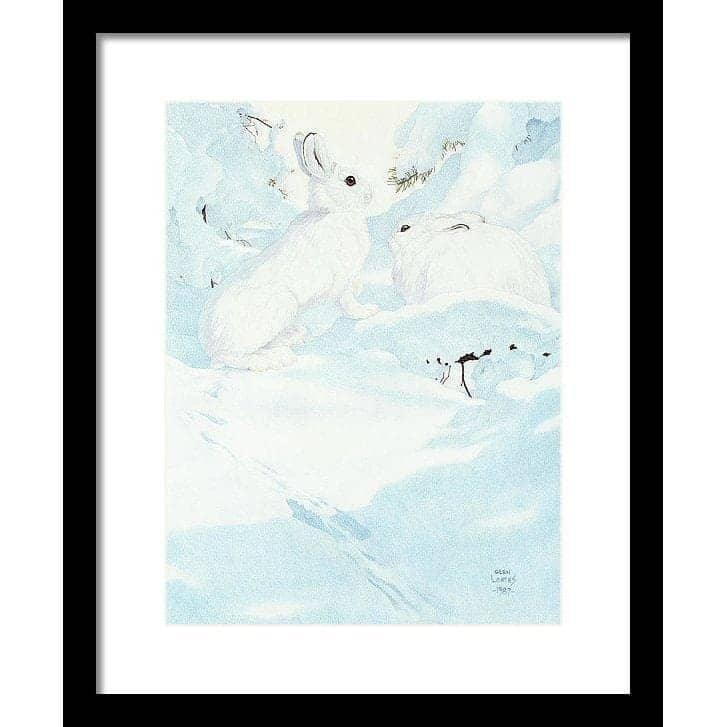 Snowshoe Hare - Framed Print | Artwork by Glen Loates