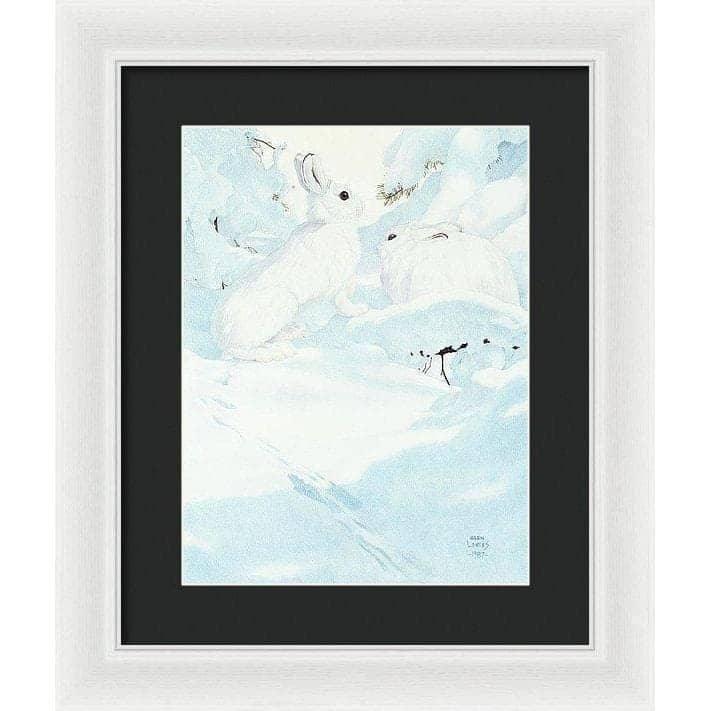 Snowshoe Hare - Framed Print | Artwork by Glen Loates