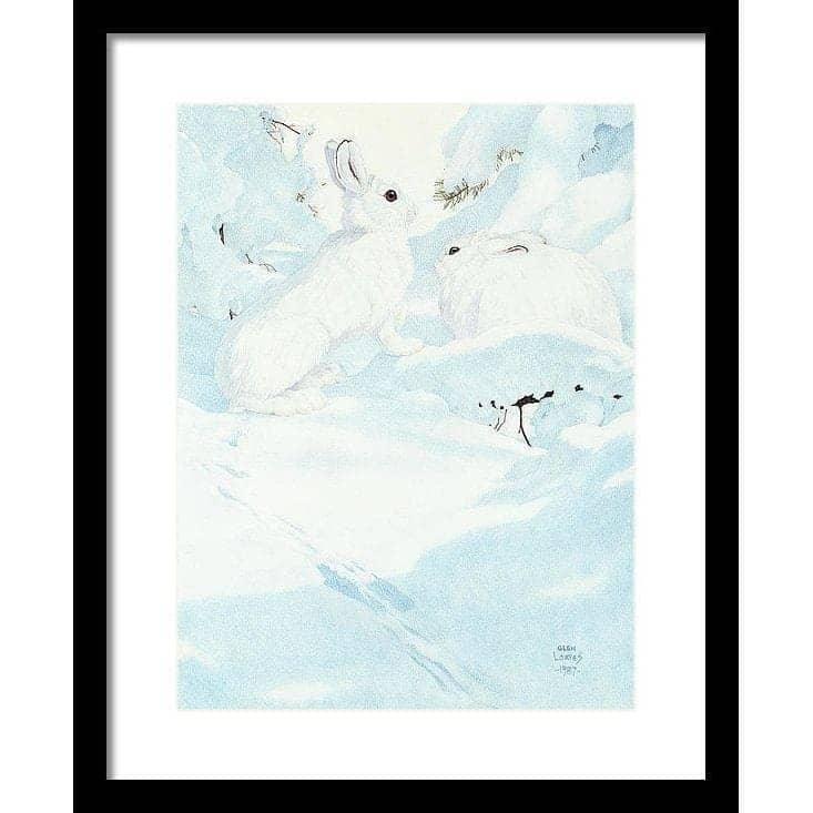 Snowshoe Hare - Framed Print | Artwork by Glen Loates