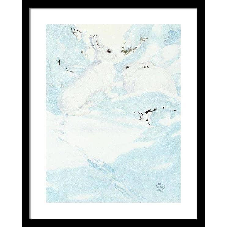 Snowshoe Hare - Framed Print | Artwork by Glen Loates