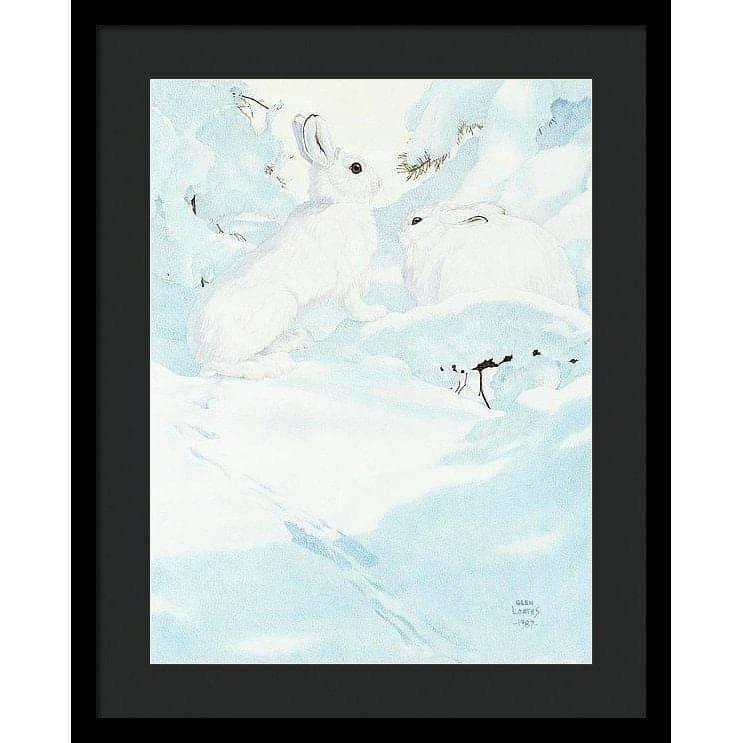 Snowshoe Hare - Framed Print | Artwork by Glen Loates