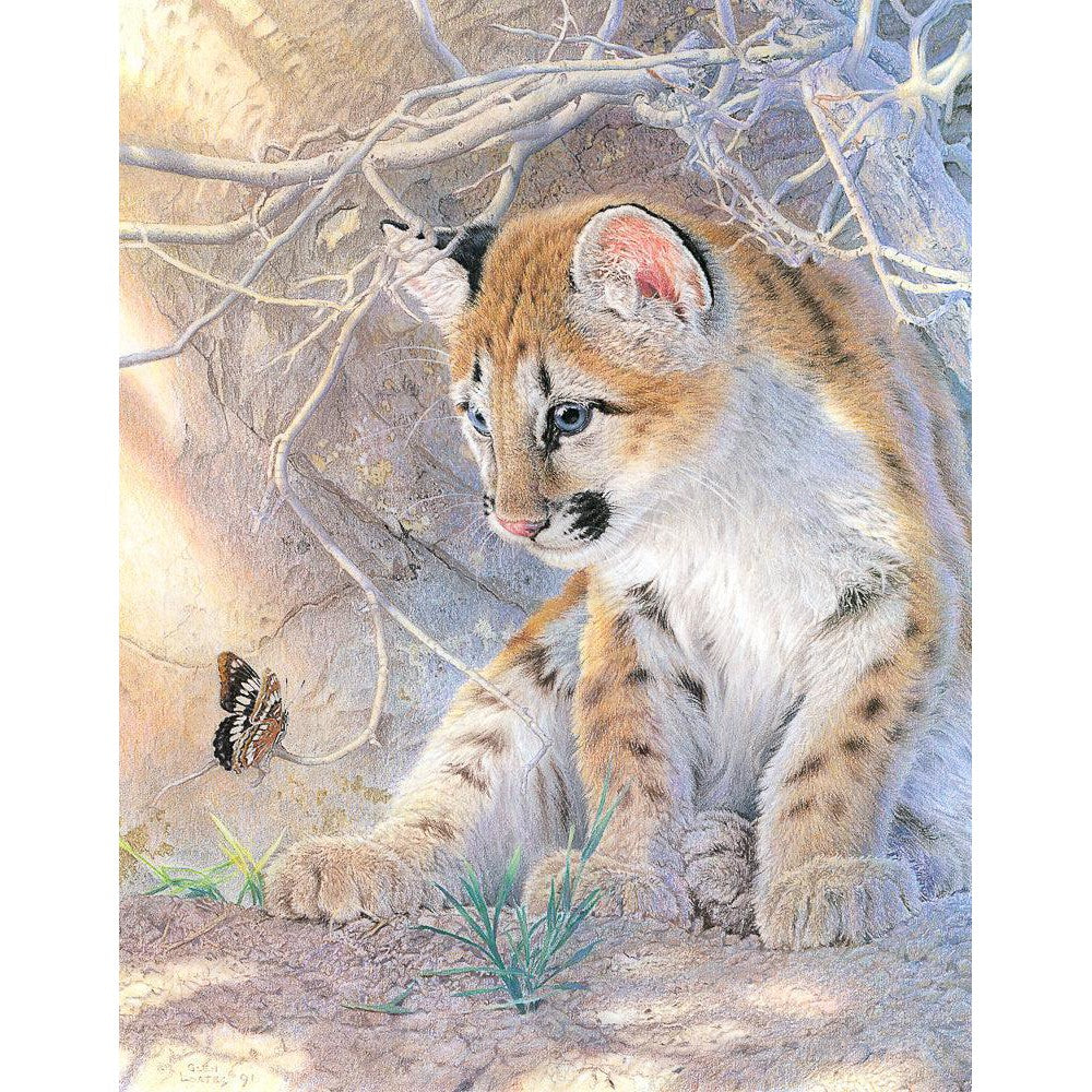 Spring Magic - Framed Print | Artwork by Glen Loates