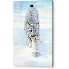 Gallery Canvas