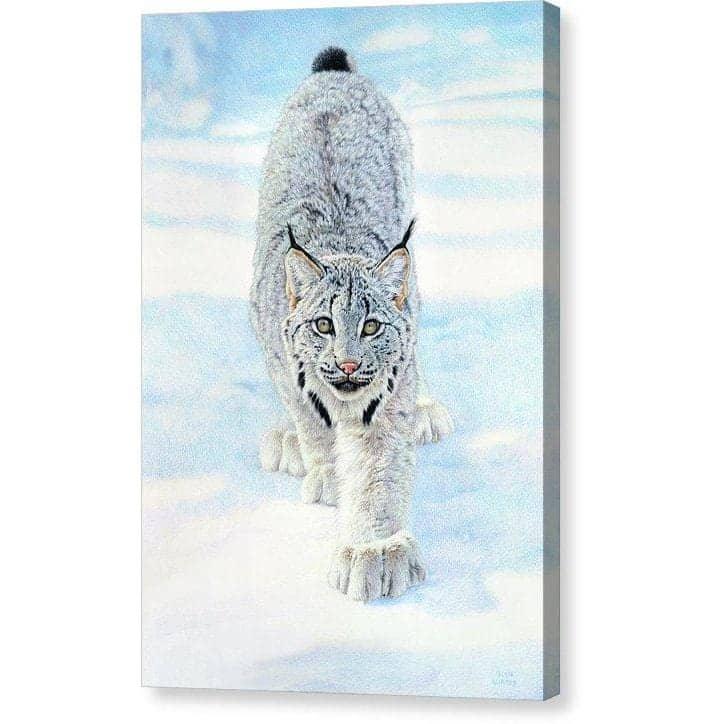 Stalking Lynx par Glen Loates, toile de galerie aux bords enveloppés en miroir