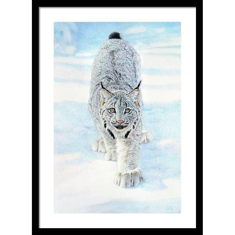 Stalking Lynx - Framed Print | Artwork by Glen Loates