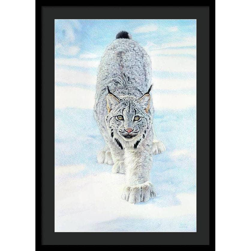 Stalking Lynx - Framed Print | Artwork by Glen Loates