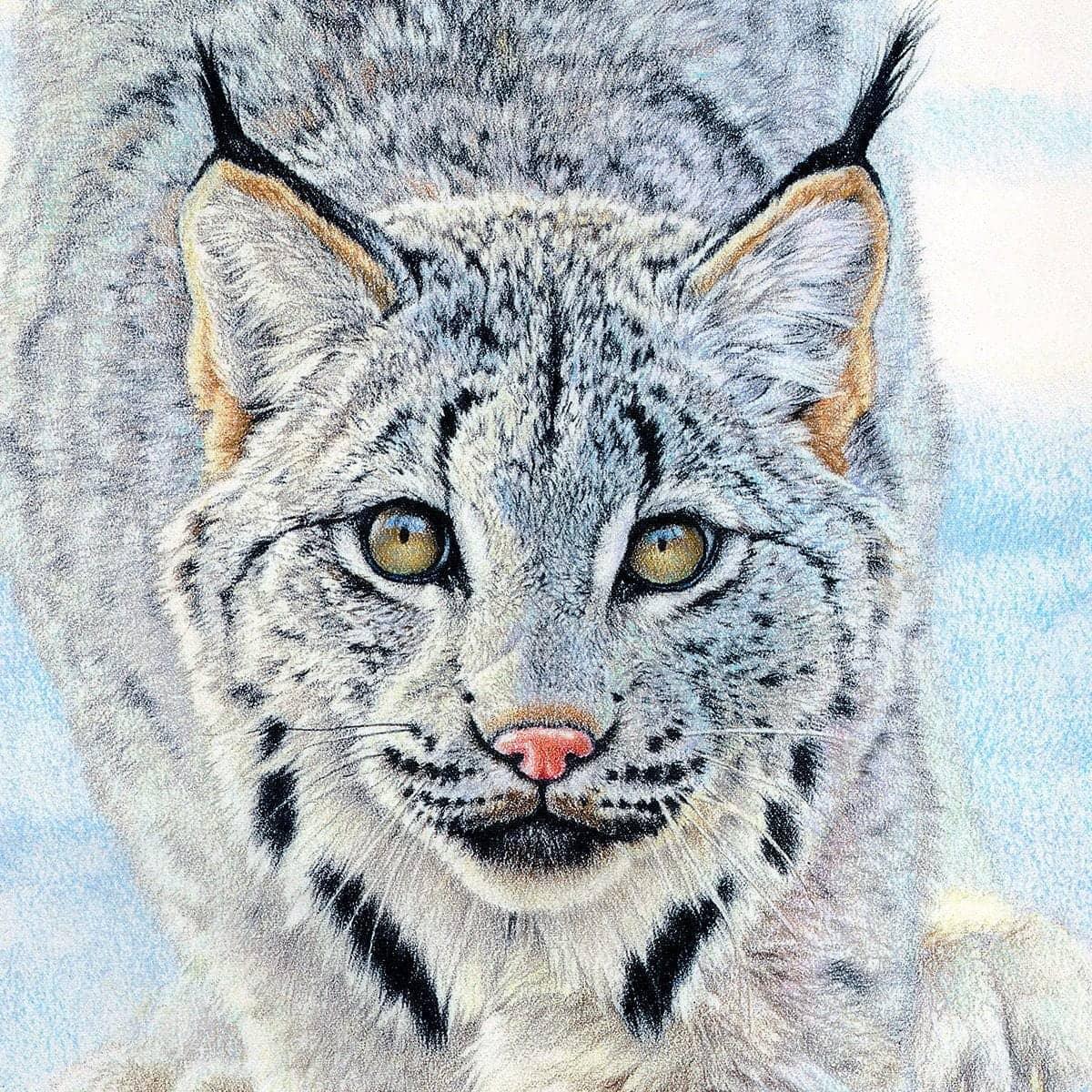 Stalking Lynx - Framed Print | Artwork by Glen Loates