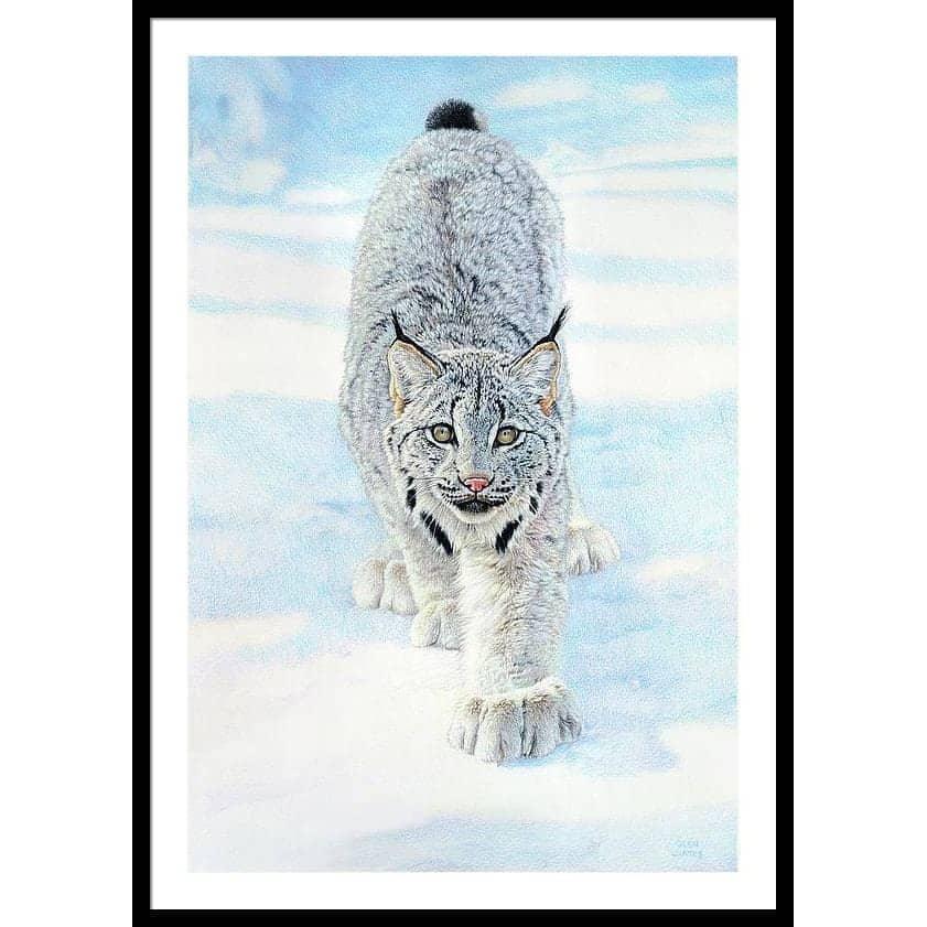 Stalking Lynx - Framed Print | Artwork by Glen Loates