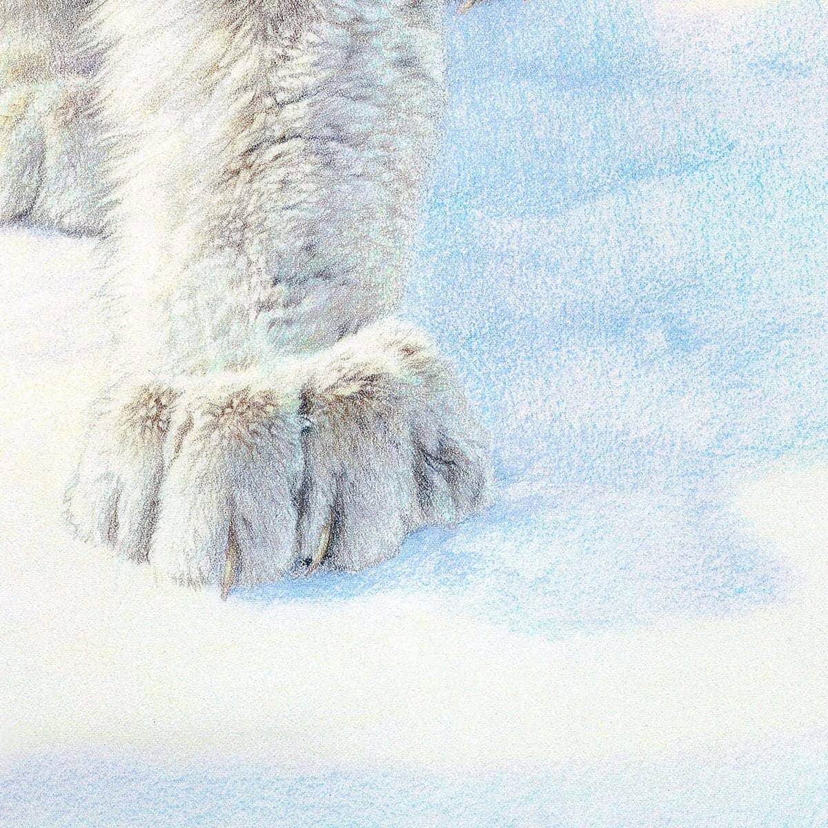 Stalking Lynx - Framed Print | Artwork by Glen Loates