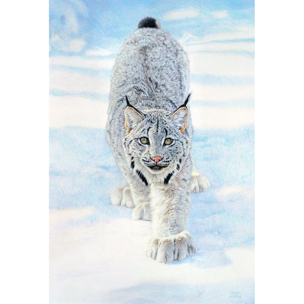Stalking Lynx - Framed Print | Artwork by Glen Loates
