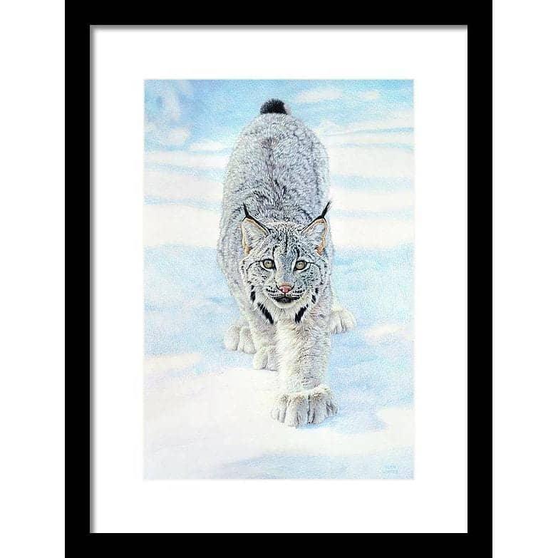 Stalking Lynx by Glen Loates, framed piece in a black frame with a white mat
