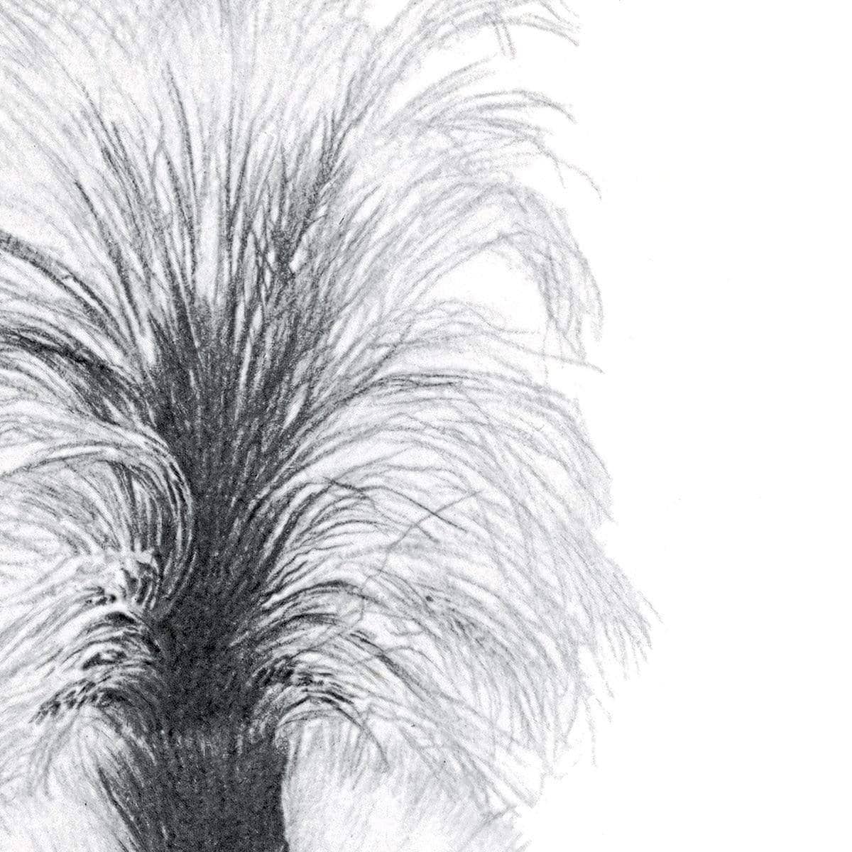 Striped Skunk - Framed Print | Artwork by Glen Loates