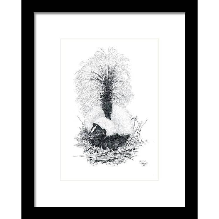 Striped Skunk by Glen Loates, framed piece in a black frame with a white mat