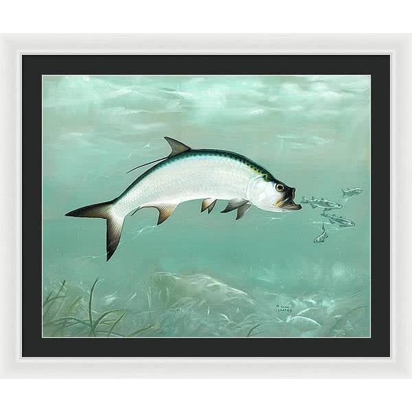 Tarpon - Framed Print | Artwork by Glen Loates