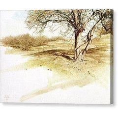 Gallery Canvas