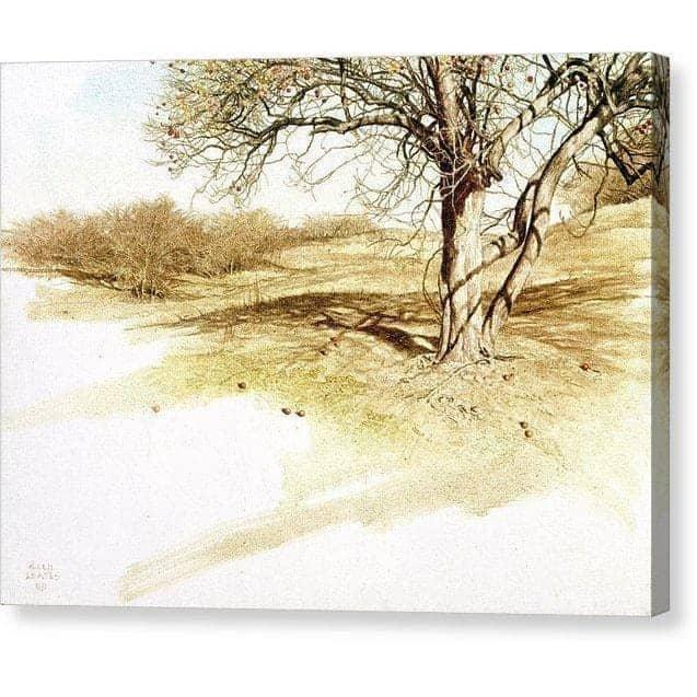 The Apple Orchard - Canvas Print | Artwork by Glen Loates