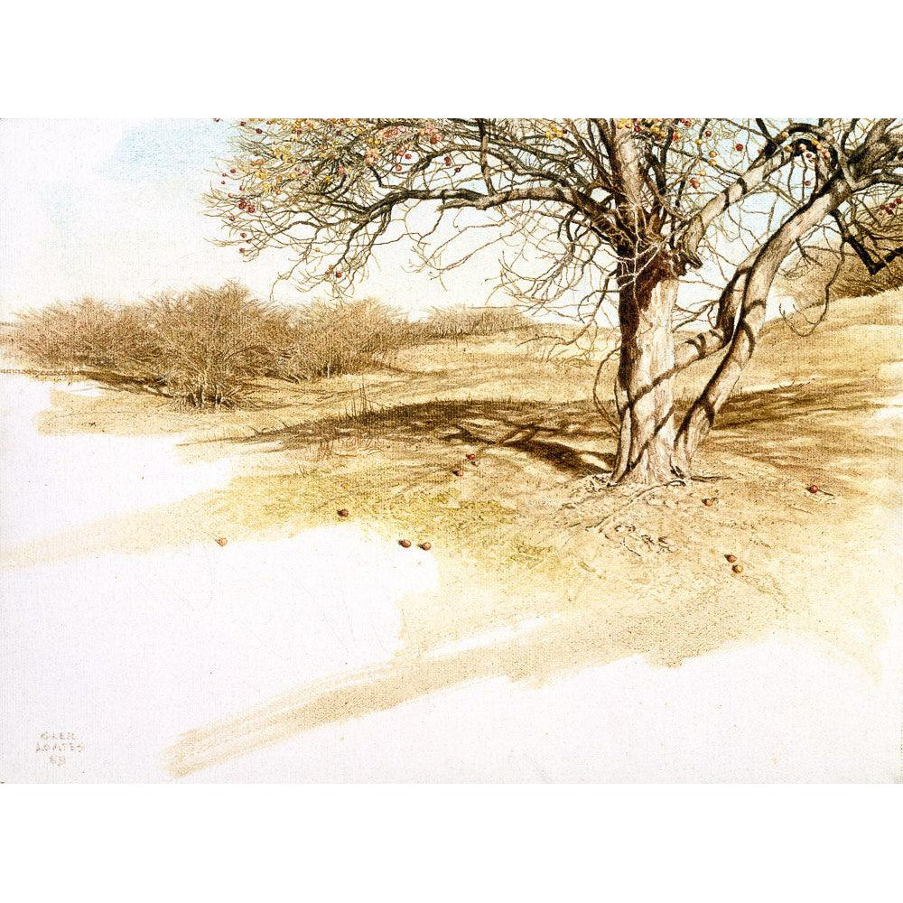 The Apple Orchard - Canvas Print | Artwork by Glen Loates