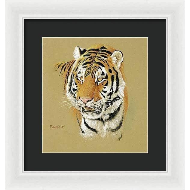 Tiger Portrait - Framed Print | Artwork by Glen Loates