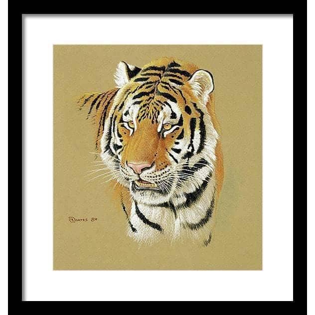 Tiger Portrait - Framed Print | Artwork by Glen Loates
