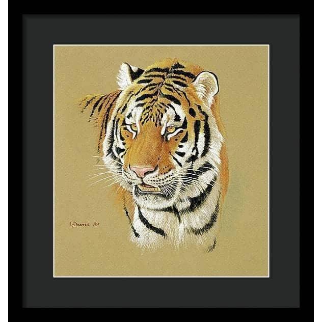 Tiger Portrait - Framed Print | Artwork by Glen Loates