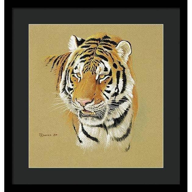 Tiger Portrait - Framed Print | Artwork by Glen Loates