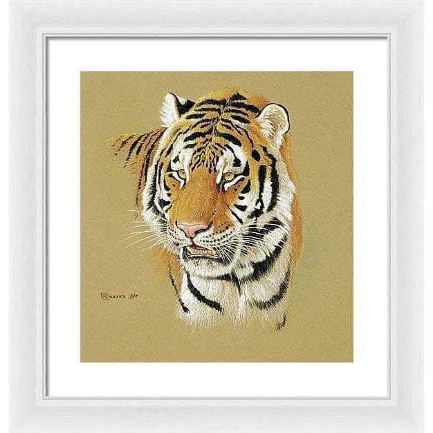 Tiger Portrait - Framed Print | Artwork by Glen Loates