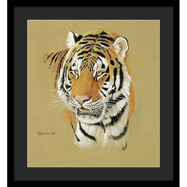 Tiger Portrait - Framed Print | Artwork by Glen Loates