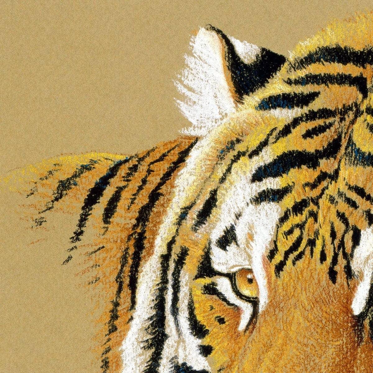 Tiger Portrait - Framed Print | Artwork by Glen Loates