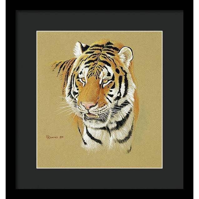 Tiger Portrait - Framed Print | Artwork by Glen Loates