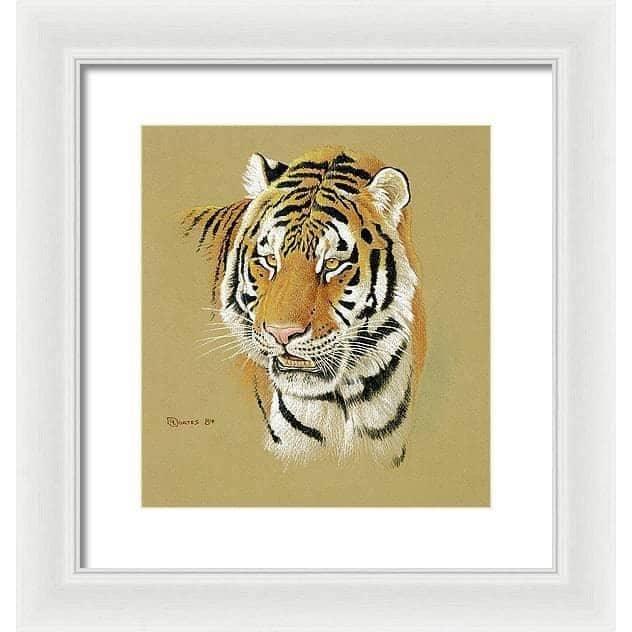 Tiger Portrait - Framed Print | Artwork by Glen Loates