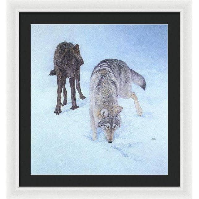 Tracking The Scent - Framed Print | Artwork by Glen Loates