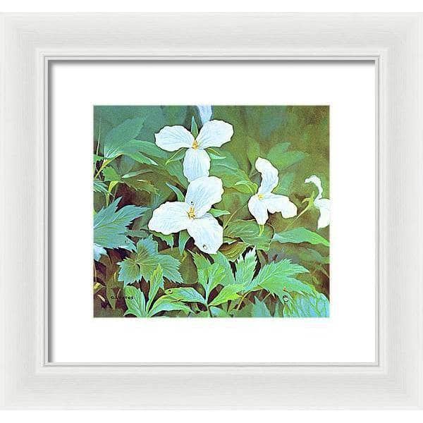 Trillium - Framed Print | Artwork by Glen Loates