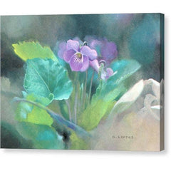 Gallery Canvas