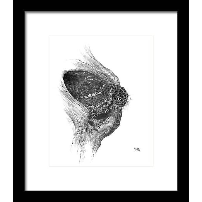 Whiskered Owl by Glen Loates, framed piece in a black frame with a white mat