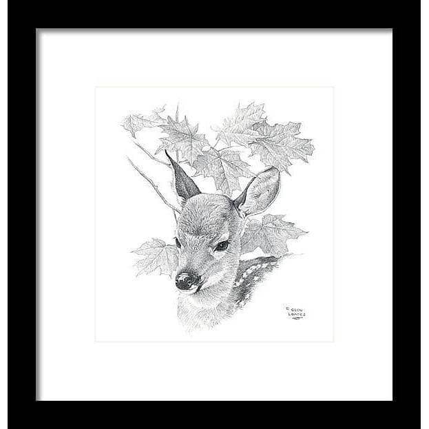 White Tailed Deer Fawn Portrait by Glen Loates, framed piece: a pencil portrait of a white-tailed fawn among maple leaves