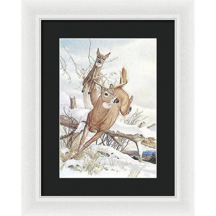 White-tailed Deer - Framed Print | Artwork by Glen Loates