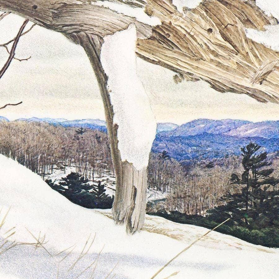 White-tailed Deer - Framed Print | Artwork by Glen Loates