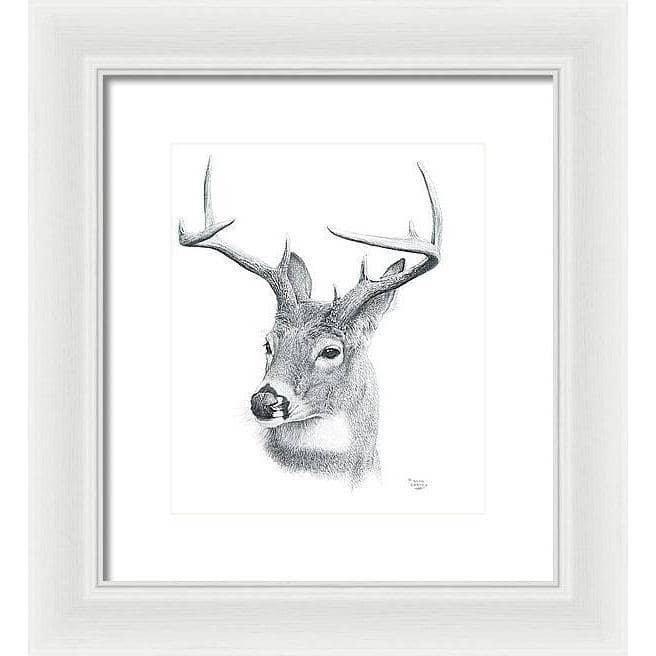 White-tailed Deer Portrait - Framed Print | Artwork by Glen Loates
