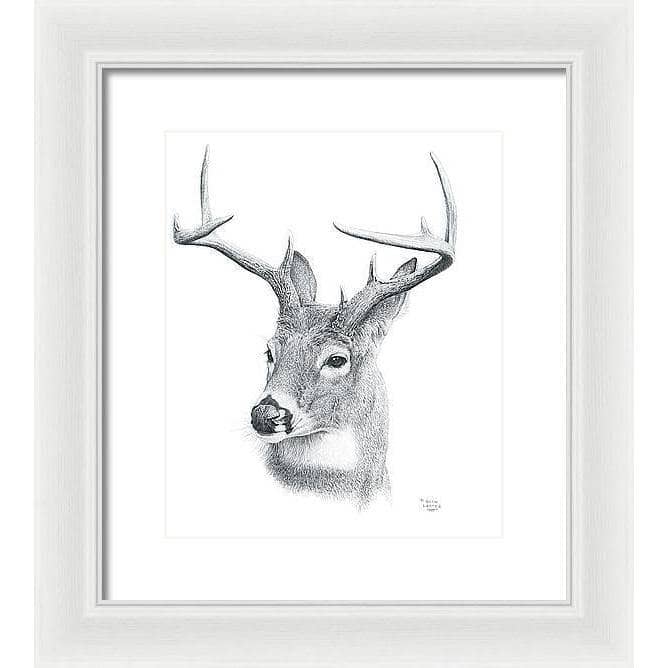 White-tailed Deer Portrait - Framed Print | Artwork by Glen Loates