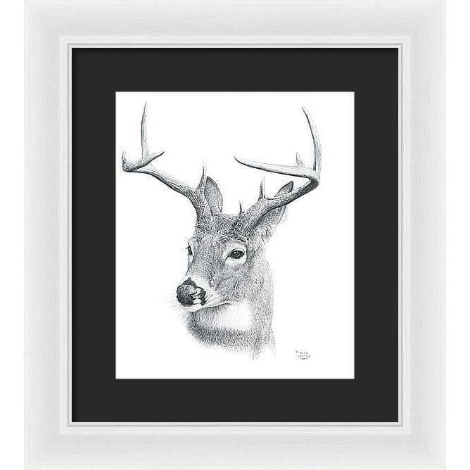 White-tailed Deer Portrait - Framed Print | Artwork by Glen Loates