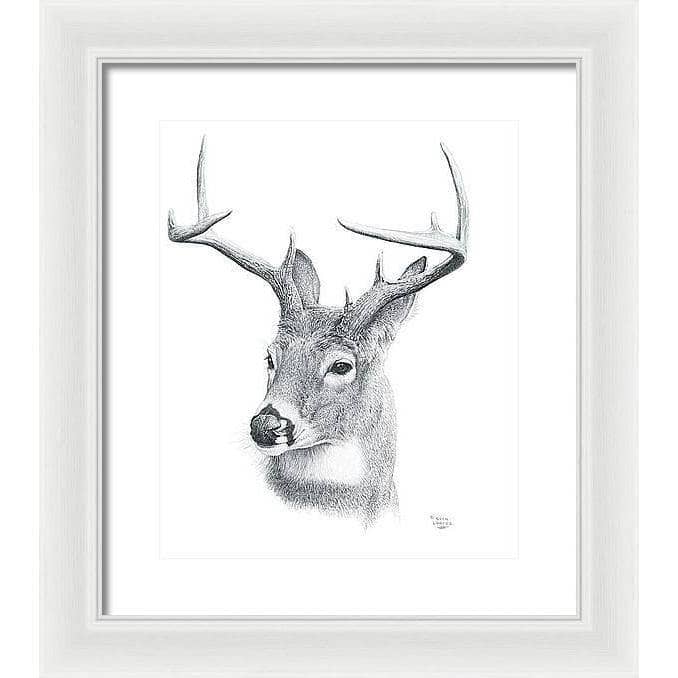 White-tailed Deer Portrait - Framed Print | Artwork by Glen Loates